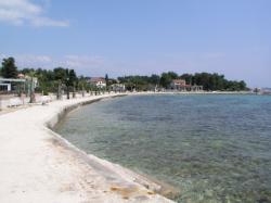 Plaža Radovanjica, Vir