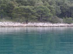 Uvala Dugovača, Drage