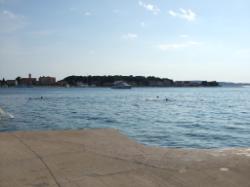 Brodarica - Zlatna ribica