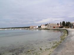 Mjesno kupalište, Olib