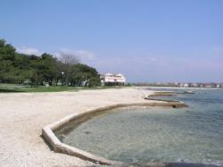 Uvala Loznica, Privlaka