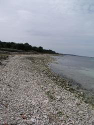 Mjesno kupalište, Olib