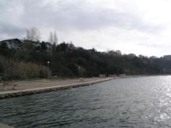 Uvala Plemići- jug, Rtina