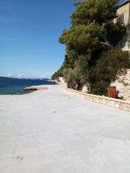 Brodarica - Zlatna ribica