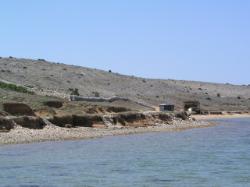 Plaža Ričina, Vrsi