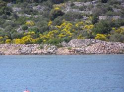 Kaprije - kraj plaže