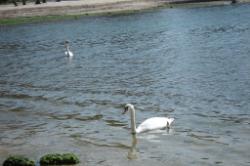 Vodice Hotel Imperijal