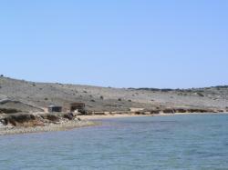 Plaža Ričina, Vrsi