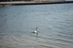 Vodice Hotel Imperijal