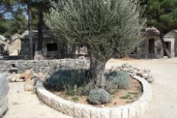 Hotel Jure - Dalmatinsko selo