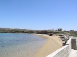 Plaža Ričina, Vrsi