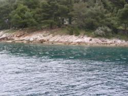 Hotelsko kupalište Sašćica, Sali