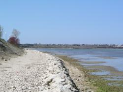 Plaža Ždrijac, Nin