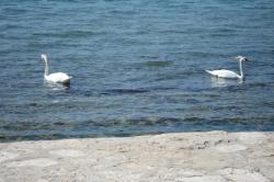 Vodice Hotel Imperijal