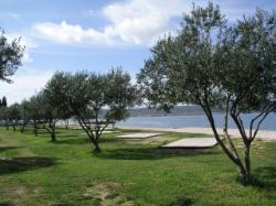 Obalni potez, Sv. Petar