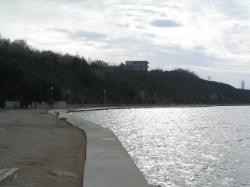 Uvala Plemići- jug, Rtina