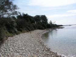 Plaža Peruštine, Kožino